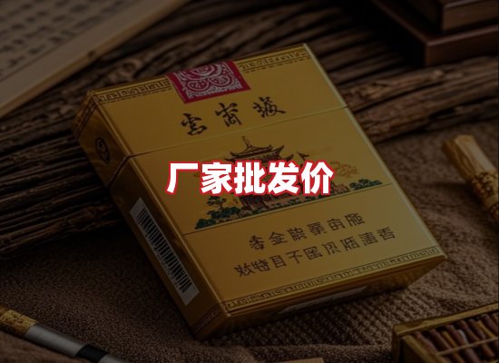 专业团队